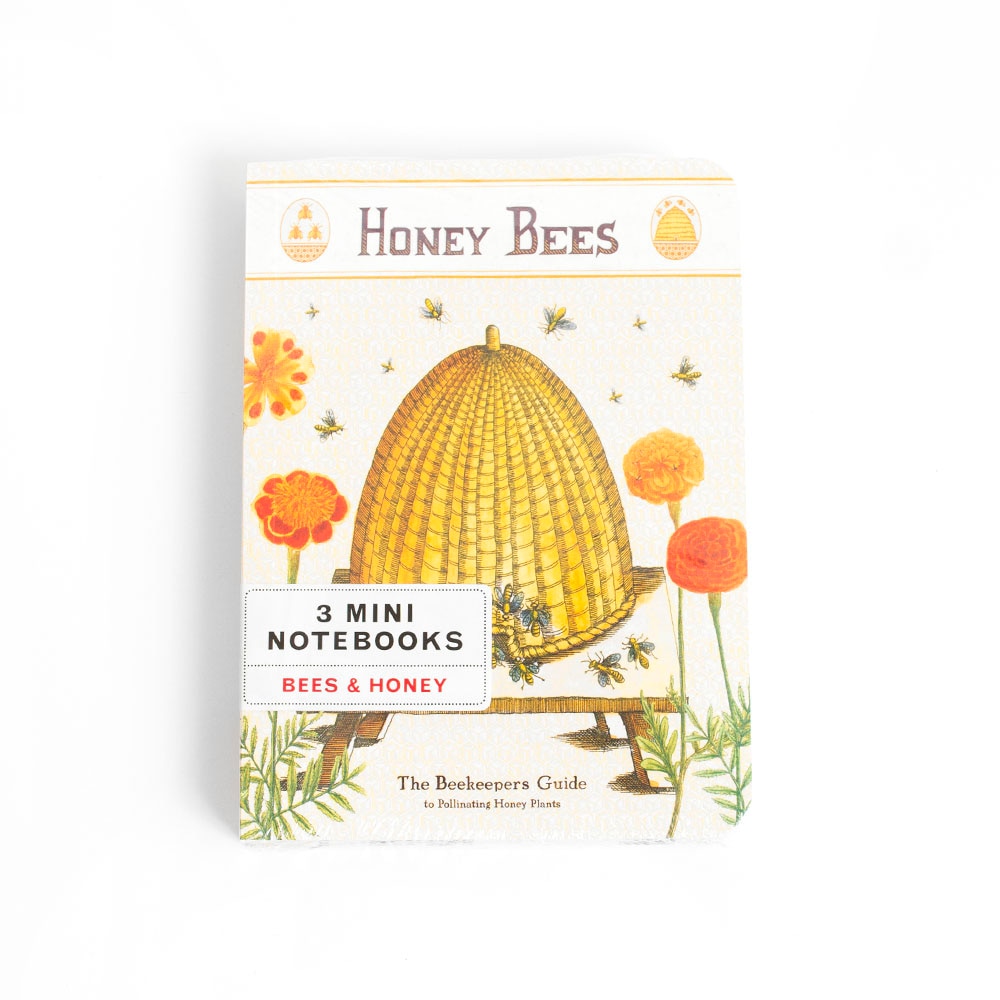 Cavallini, Mini Notebook, Set, 4"x5.5", Bees & Honey